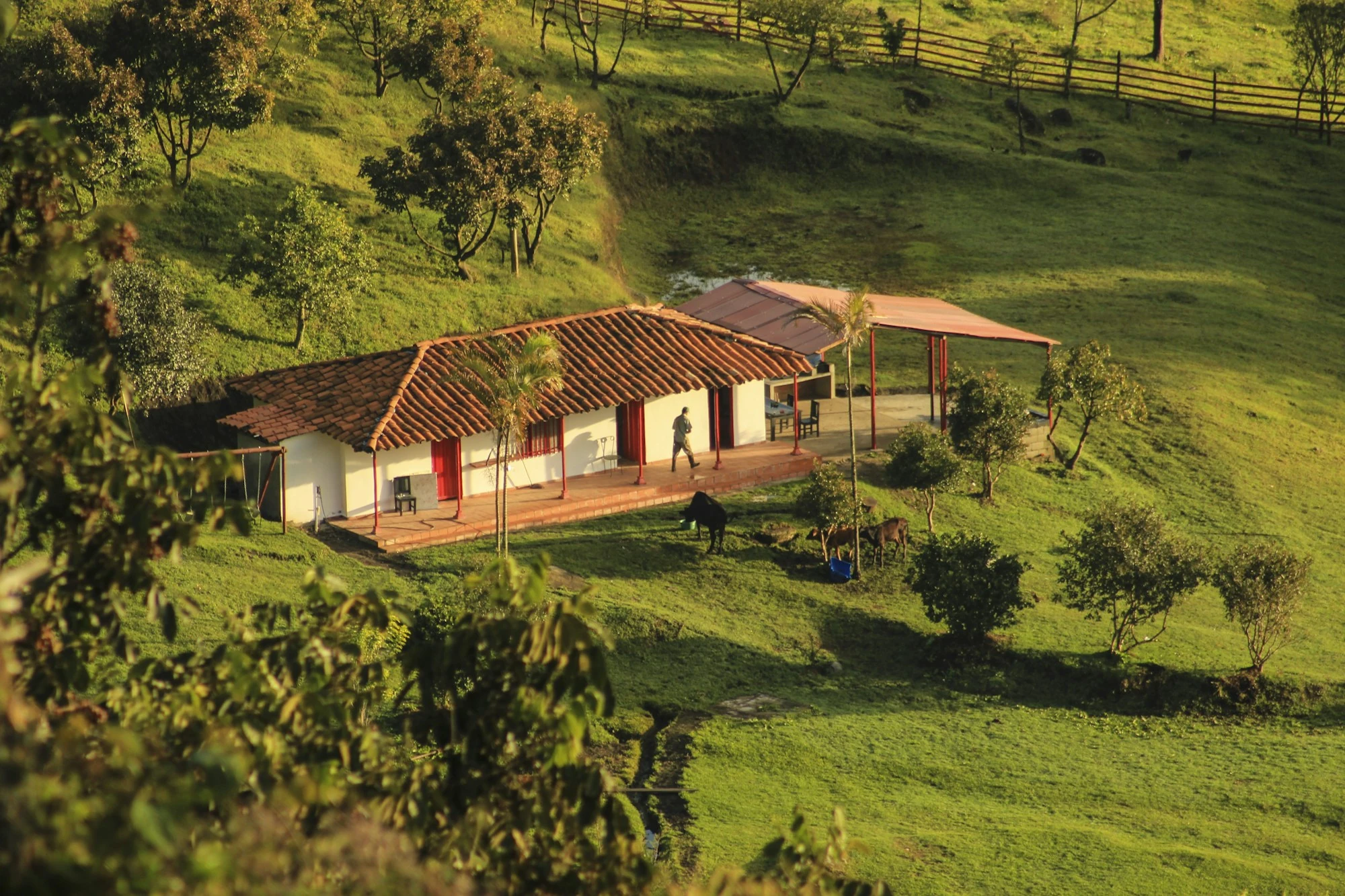 Fotografía de una finca colombiana con casa tradicional, árboles y terreno de ladera.